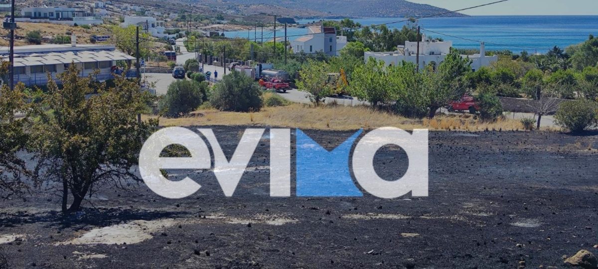 Φωτιά στον Αετό Καρύστου 