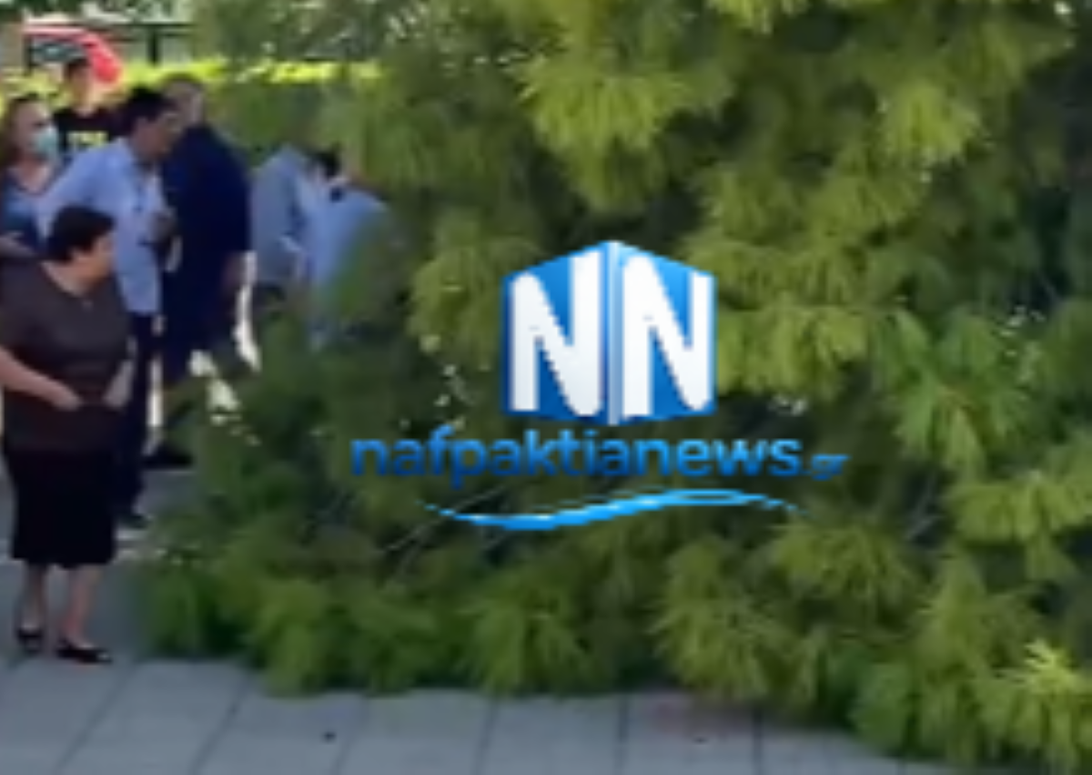 Ναύπακτος: Μεγάλο κλαδί πεύκου έπεσε έξω από εκκλησία στον Λυγιά – Τρεις τραυματίες – ΒΙΝΤΕΟ