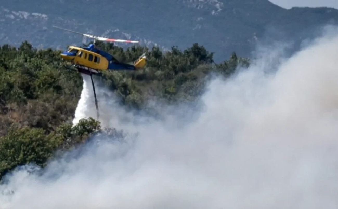 Νέα φωτιά στην Κόνιτσα – Στις φλόγες δάσος στη Βασιλίτσα