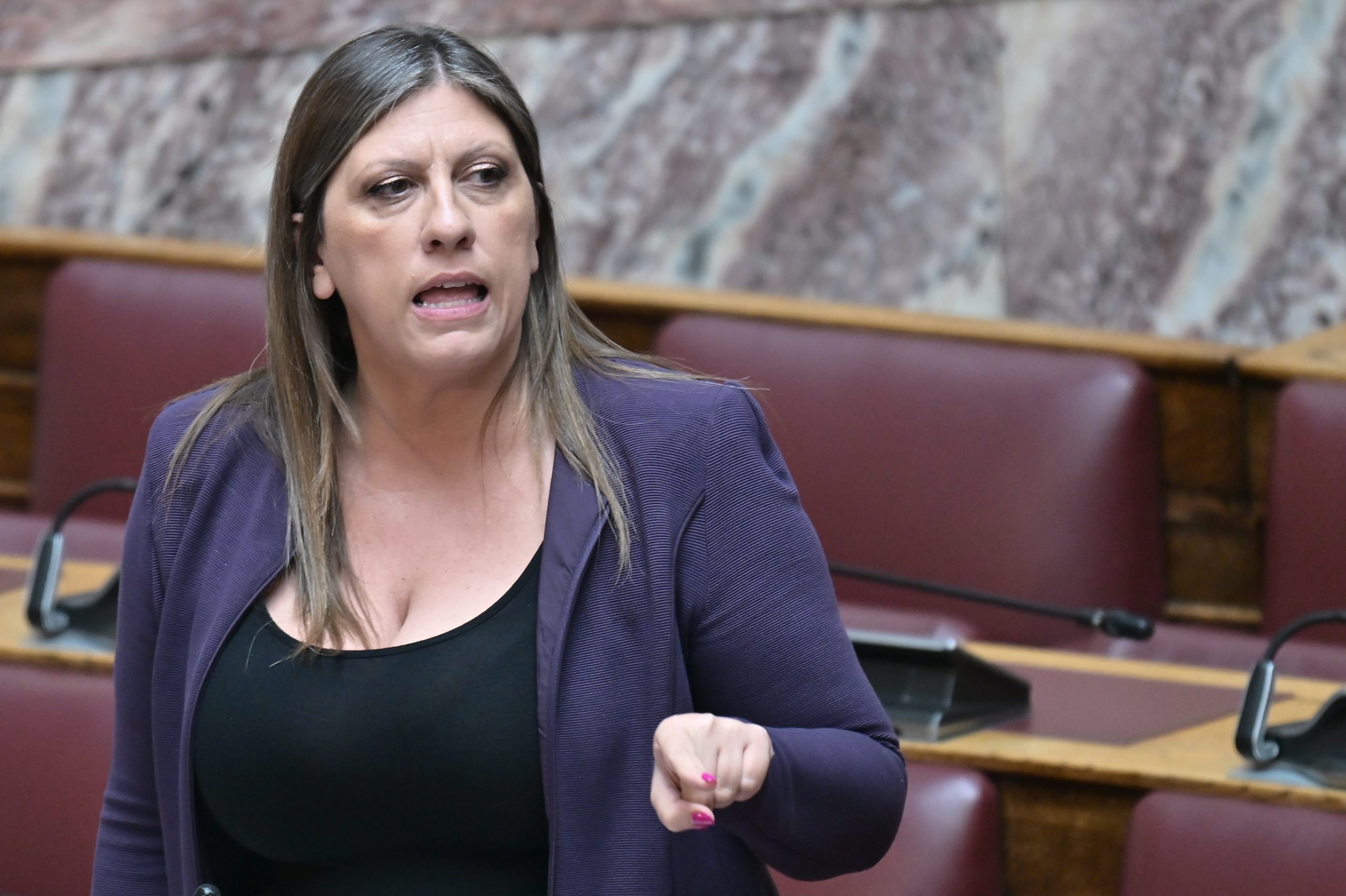 Κωνσταντοπούλου στη Βουλή: Να αποσυρθεί το άρθρο 74 για τις επιδοτήσεις του ΟΠΕΚΕΠΕ