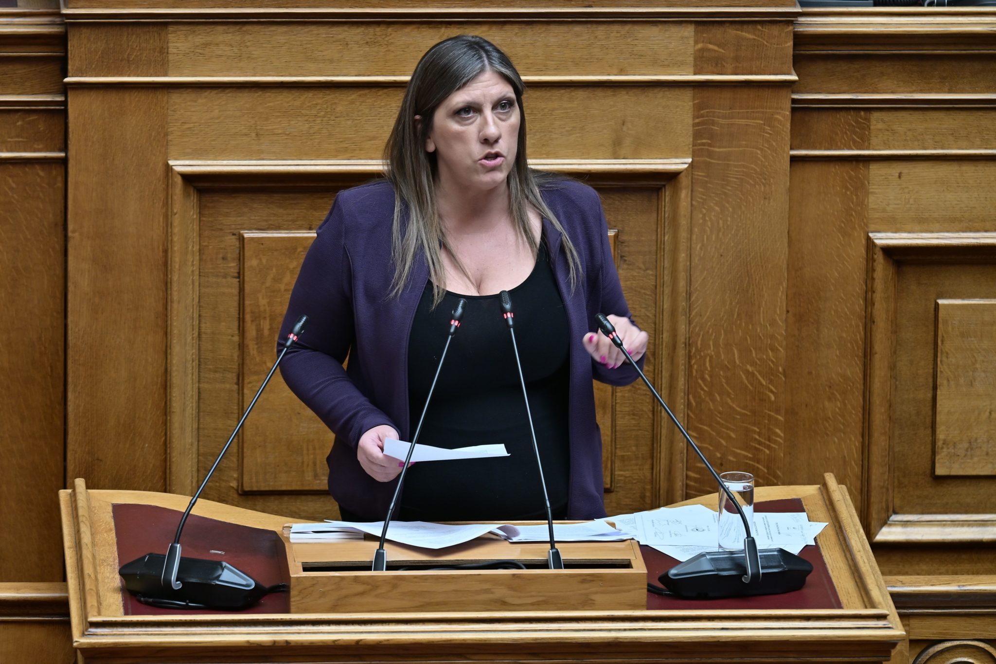 Ζωή Κωνσταντοπούλου