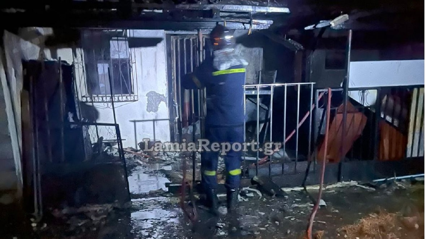 Φθιώτιδα: Νεκρή 32χρονη έπειτα από πυρκαγιά σε σπίτι – Πέθανε μαζί της και το σκυλάκι της – ΦΩΤΟ