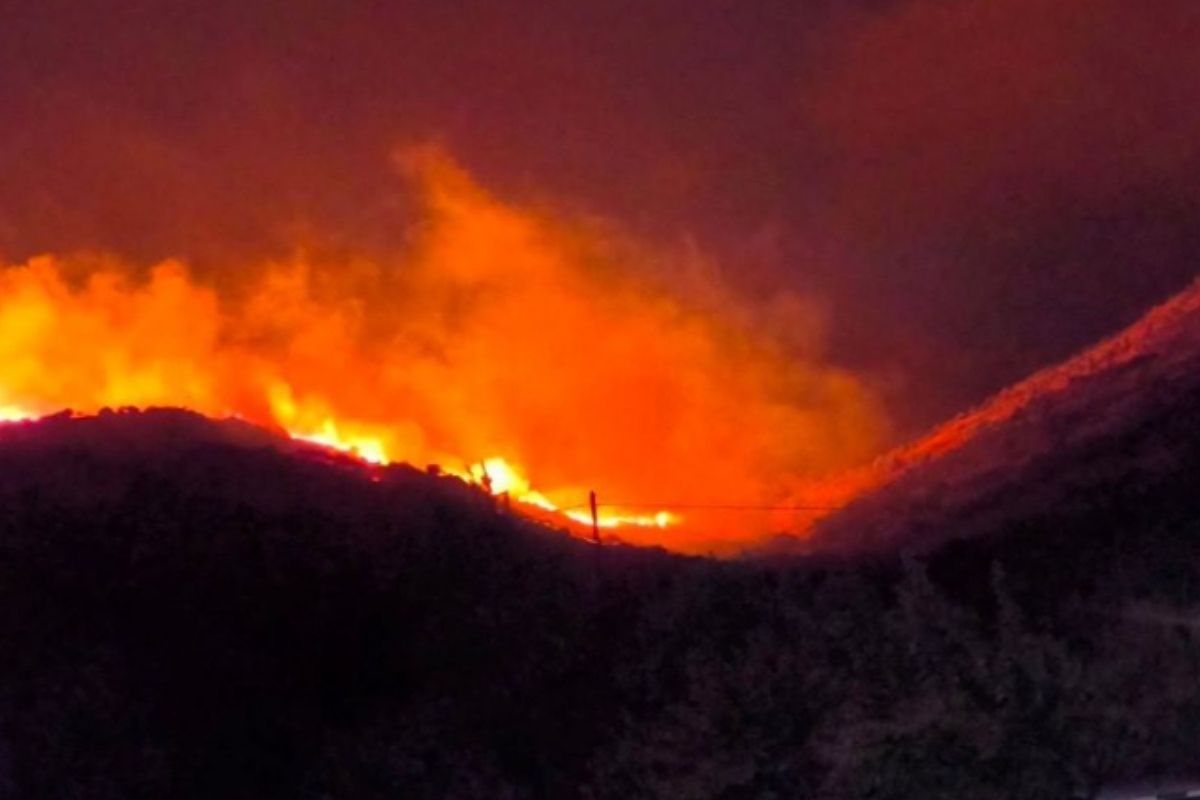 Φωτιά σε χαμηλή βλάστηση στην Καλλονή Λέσβου – Επιχειρούν επίγειες δυνάμεις, πνέουν ισχυροί άνεμοι