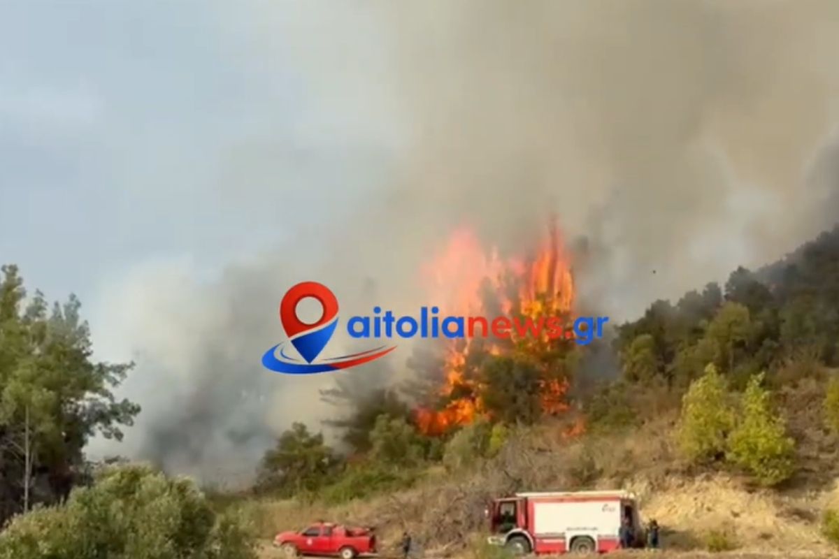 Μεσολόγγι: Φωτιά σε αγροτοδασική έκταση στην περιοχή Αγριλιά – Οι πρώτες εικόνες