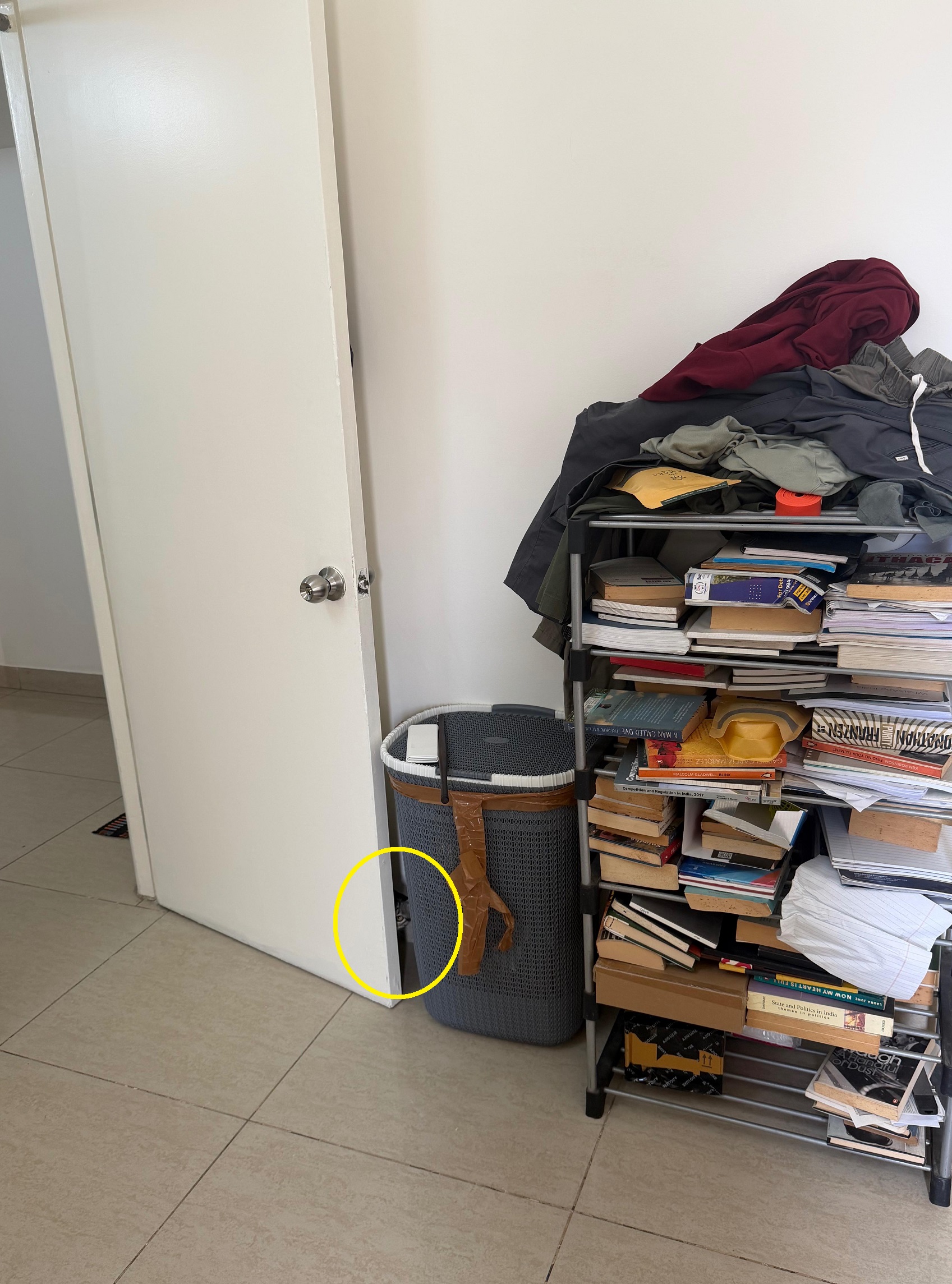 Οπτική ψευδαίσθηση, γάτα