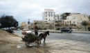 Κουίζ για την παλιά Αθήνα: Αναγνωρίζετε την οδό; Είναι μία από τις πιο γνωστές της πόλης