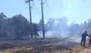 Στυλίδα: Φωτιά στο Αυλάκι μέσα σε ελαιοπερίβολο - Πουλί ακούμπησε σε καλώδια μεταφοράς ρεύματος και προκάλεσε βραχυκύκλωμα  - ΦΩΤΟ