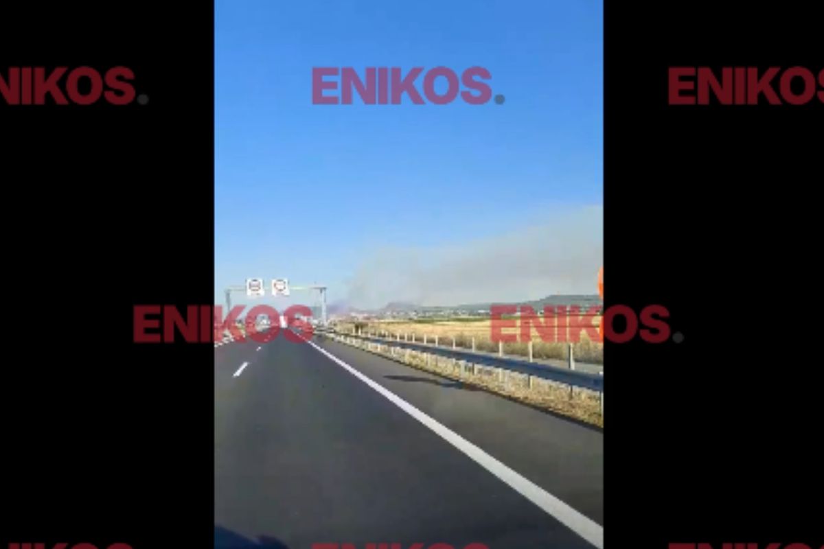 Φωτιά στη Θήβα: Μάχη με τις φλόγες στον Μύτικα, επιχειρούν ισχυρές δυνάμεις – Δείτε βίντεο αναγνωστών