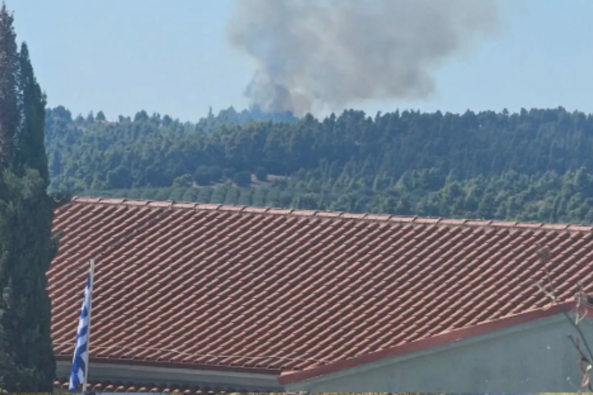Φωτιά στη Χαλκιδική: Ενισχύθηκαν οι δυνάμεις της Πυροσβεστικής – Ήχησε το 112 για ετοιμότητα – ΦΩΤΟ