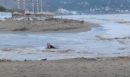 Κρήτη: Μεθυσμένος τουρίστας έπεσε σε ποταμό - Τον βοήθησε περαστικός - ΒΙΝΤΕΟ