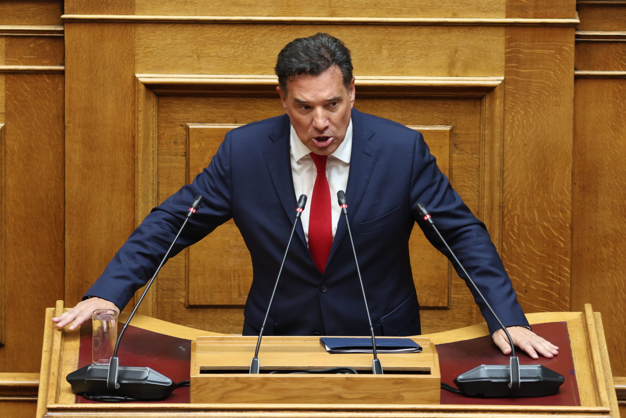 Ο Άδωνις Γεωργιάδης
