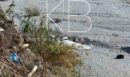 Τραγωδία στην Πιερία: Νεκροί οι 2 επιβαίνοντες του μονοκινητήριου αεροσκάφους που συνετρίβη στο Ξερολάκκι Κονταριώτισσας - Φωτογραφίες