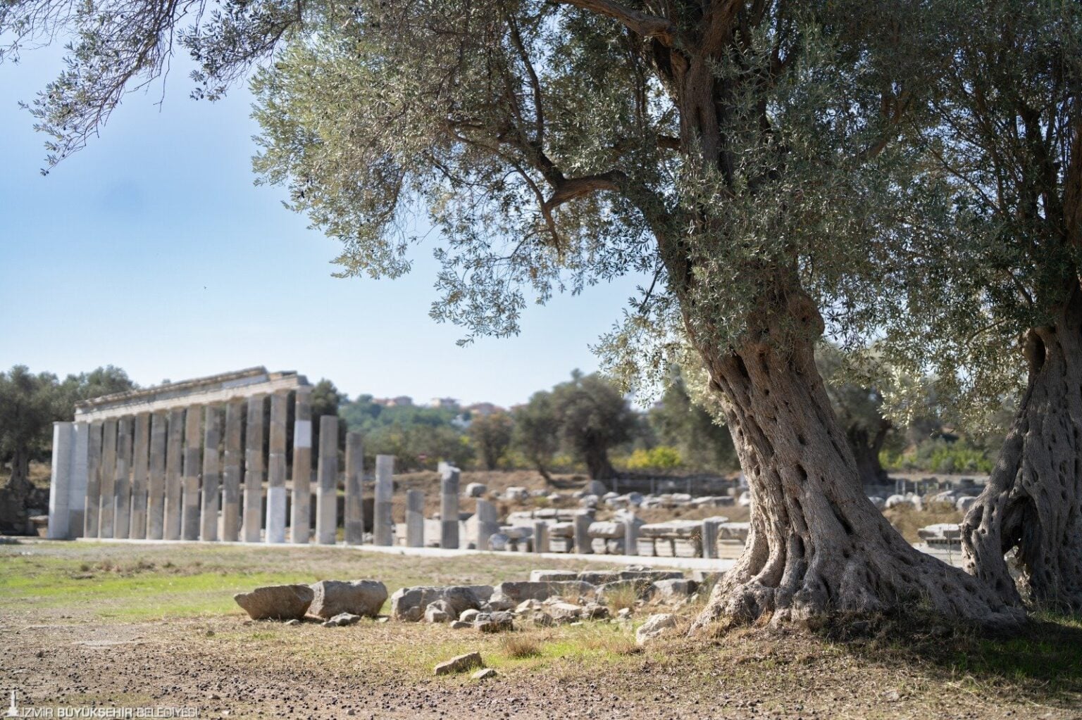 Ούτε μαθηματικά, ούτε φιλοσοφία: Πριν από 2.200 χρόνια, αυτοί οι δάσκαλοι ήταν οι πιο ακριβοπληρωμένοι – Οι αποκαλυπτικές επιγραφές σε αρχαία ελληνική πόλη