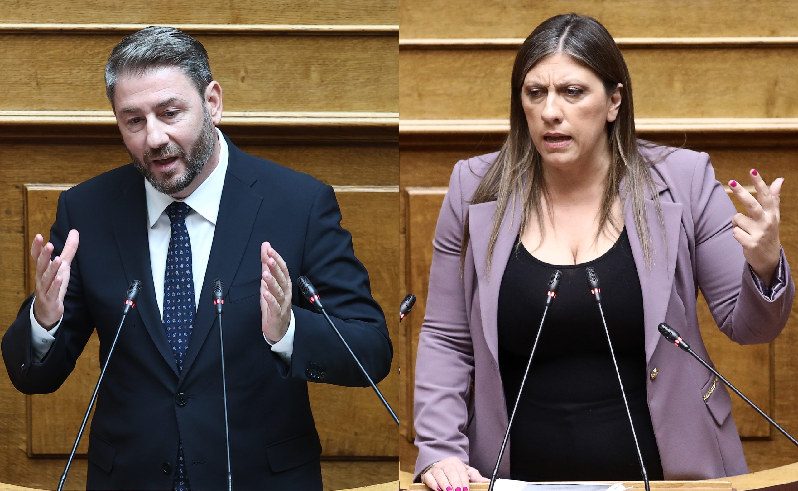 Αντιπαράθεση Ανδρουλάκη-Κωνσταντοπούλου στη Βουλή για τον… Παναθηναϊκό – ΒΙΝΤΕΟ