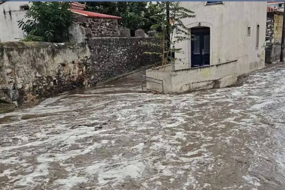 Κακοκαιρία: Πλημμύρισαν αίθουσες στο Πρωτοδικείο Ρόδου – Προβλήματα σε κεντρικές οδικές αρτηρίες στη Μυτιλήνη – ΦΩΤΟ και ΒΙΝΤΕΟ