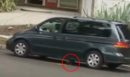 Βίντεο-φρίκη: 75χρονη δελεάζει κουτάβι με φαγητό και το πατάει με αυτοκίνητο - Σκληρές εικόνες