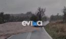 Κακοκαιρία στην Εύβοια: Υποχώρησε το οδόστρωμα στον δρόμο από Προκόπι προς Μαντούδι - Ήχησε το 112 για εκκένωση των Ψαχνών