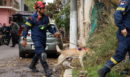 Ακαδημία Πλάτωνος: Ολοκληρώθηκε η επιχείρηση της πυροσβεστικής μετά την κατάρρευση στέγης και τμήματος κτιρίου - Δεν εντοπίστηκαν εγκλωβισμένοι