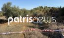 Αμαλιάδα: Συνελήφθησαν τα δύο αδέλφια που έθαψαν την μητέρα τους στον κήπο - Ολοκληρώθηκε η εκταφή της σορού της 79χρονης