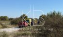 Τραγωδία στην Πιερία: Θρίλερ με τα αίτια της συντριβής του μονοκινητήριου αεροσκάφους - Δεν δήλωσε πρόβλημα ο πιλότος - ΒΙΝΤΕΟ