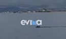 Μοναδικό θέαμα: 20 δελφίνια και μία φώκια έκαναν βόλτα στον Ευβοϊκό Κόλπο - ΒΙΝΤΕΟ
