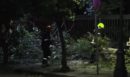 Έπεσε δέντρο κοντά στο Μέγαρο Μαξίμου: Έκλεισε η Ηρώδου Αττικού - Δείτε βίντεο