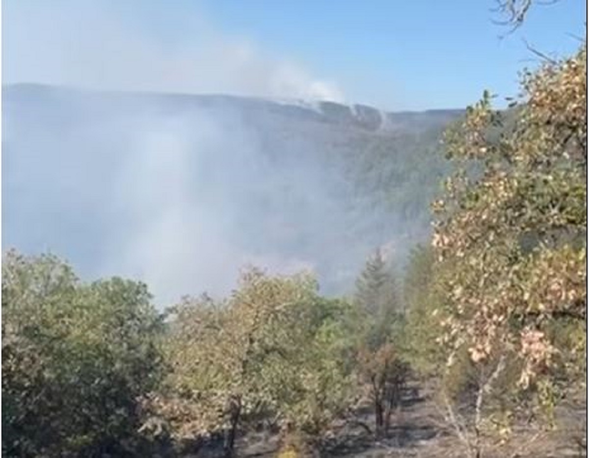 Σουφλί: Μαίνεται για δεύτερη ημέρα η φωτιά που μπήκε στη χώρα από τη Βουλγαρία – Δείτε βίντεο
