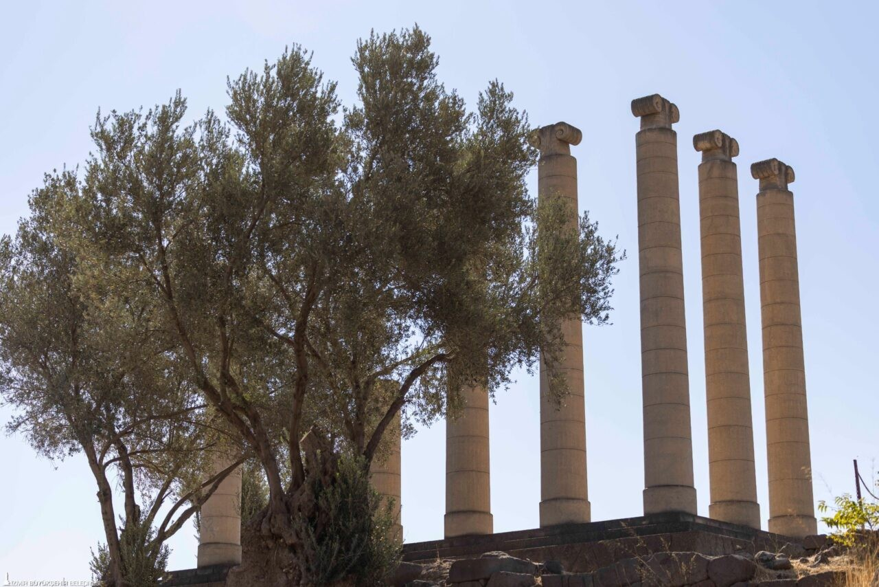 Αναστηλωμένοι κίονες του Ναού της Αθηνάς στην αρχαία Σμύρνη, ενός από τα σημαντικότερα μνημειώδη οικοδομήματα της πόλης. Πηγή: Μητροπολιτικός Δήμος Σμύρνης 