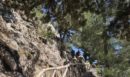 Κρήτη: Απεγκλωβίστηκαν ύστερα από 8 ημέρες οι εργαζόμενοι στο φαράγγι της Σαμαριάς - ΒΙΝΤΕΟ