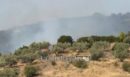 Φωτιά στη Λαμία - Καίει κοντά στον αστικό ιστό - ΦΩΤΟ και ΒΙΝΤΕΟ