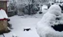 Στα λευκά η Φθιώτιδα ανήμερα της 28ης Οκτωβρίου: Χιόνια μέχρι και τα 800 μέτρα και τσουχτερό κρύο – ΦΩΤΟ και ΒΙΝΤΕΟ