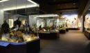 114 βραβεία σε 12 χρόνια: Μία ξεχωριστή πορεία επιτυχίας για το Μουσείο Φυσικής Ιστορίας Μετεώρων και Μουσείο Μανιταριών