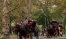 Νέα Υόρκη: Καταργούνται οι ιππήλατες άμαξες στο Σέντραλ Παρκ - Το τραγικό δυστύχημα και η αντίδραση Τραμπ