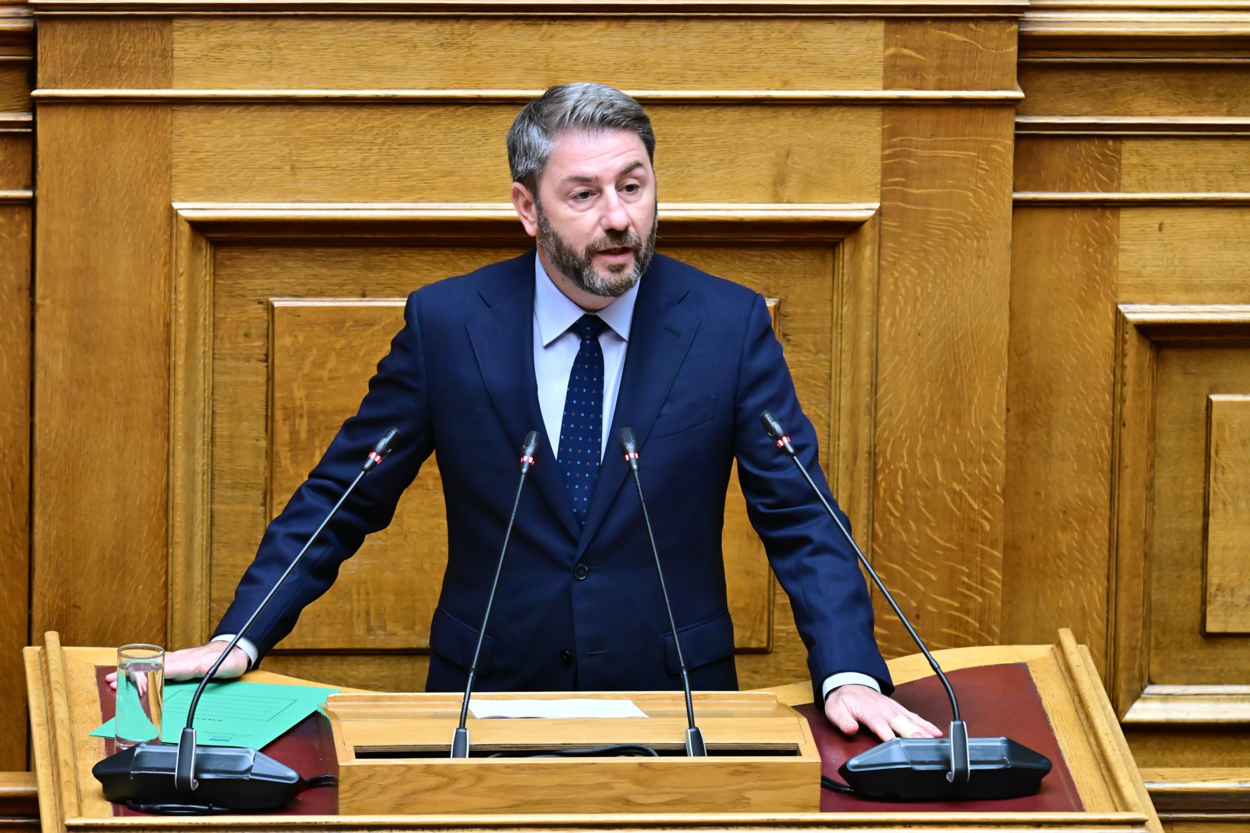 Ανδρουλάκης: «Η Εθνική Συμφιλίωση αφορά όσους πολέμησαν υπέρ της πατρίδας και όχι τους προδότες και τους υμνητές του ναζισμού»