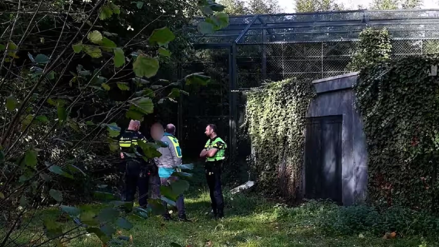 Τραγωδία στην Ολλανδία: Εργαζομένη πάρκου άγριας ζωής πέθανε έπειτα από επίθεση πάνθηρα 