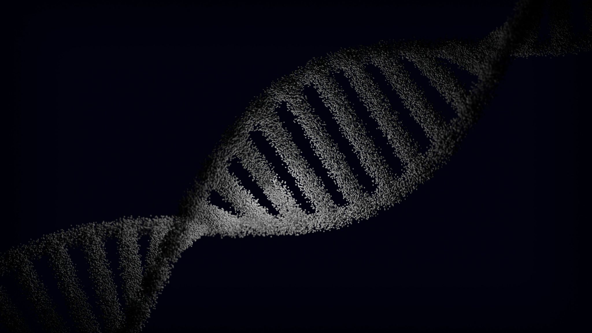 Φωτογραφία: Pexels