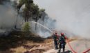 Θεσσαλονίκη: Φωτιά στο Πανόραμα – Στο νοσοκομείο μία γυναίκα με εγκαύματα