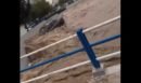 «Βιβλική καταστροφή» στη Ρόδο από την κακοκαιρία: Ορμητικοί χείμαρροι παρέσυραν αυτοκίνητα στη θάλασσα - Δείτε βίντεο