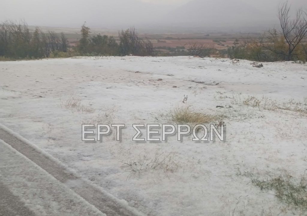 ΣΕΡΡΕΣ