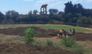 Η πολιορκία που «πάγωσε» τον χρόνο: Ανακαλύφθηκε ελληνική συνοικία που καταστράφηκε από την Καρχηδόνα
