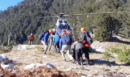 Όλυμπος: Η στιγμή που ελικόπτερο παραλαμβάνει τους 17χρονους μαθητές που αισθάνθηκαν αδιαθεσία - Ανθρώπινη αλυσίδα στα 2.000 μέτρα - ΒΙΝΤΕΟ